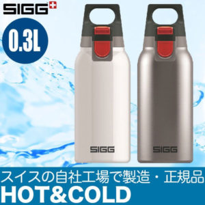 SIGG HOT & COLD ONE ACCENT BRUSHED BOTTLE (0.3 L)の商品画像